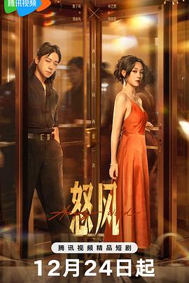 怒风(全集)