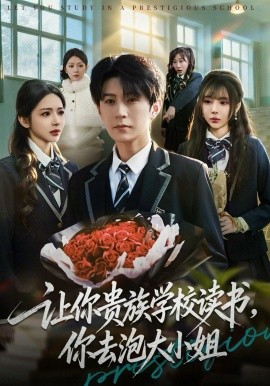 让你贵族学校读书，你去泡大小姐(全集)
