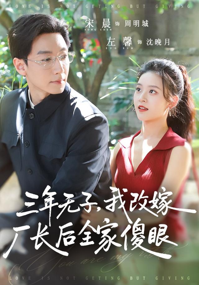 三年无子，我改嫁厂长后全家傻眼了(全集)